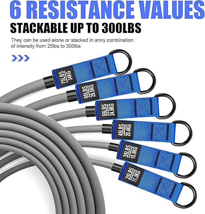 HPYGN Heavy Resistance Bands, 300LBS Exercise Bands for Working Out, Fitness Bands with Handles, Workout Bands for Men, Weight Bands Set for Muscle Training, Strength, Slim, Yoga, Home Gym Equipment - Bloomnest