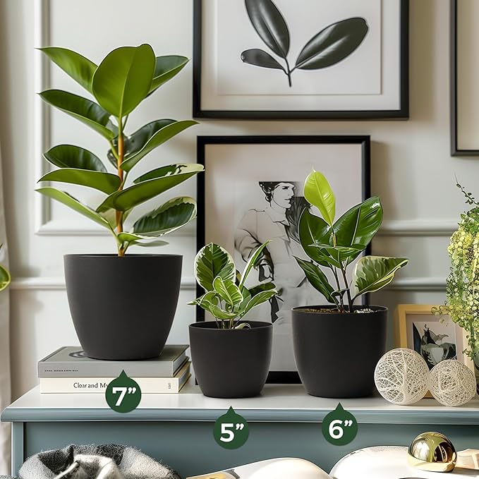 T4U 6 Inch Self Watering Planters Plastic Plant Pot, Modern Decorative Flower Pot/Window Box for All House Plants, Flowers, Herbs, African Violets, Succulents - Black, Set of 6 - Bloomnest