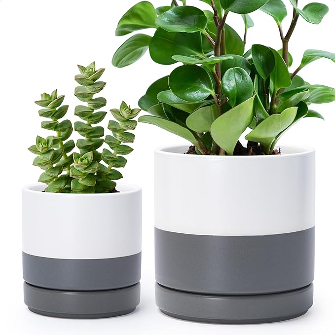 D'vine Dev 4.7 Inch & 6.5 Inch Ceramic Planter Pots for Plants with Drainage Hole and Saucer, Small Plant Pots Set, White/Speckled Grey, 94-G-S-6 - Bloomnest