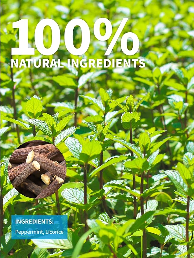 TeeLux Licorice Peppermint Tea, Natural Soothing Peppermint with Sweet Licorice Root, Caffeine Free, 100 Count Teelux