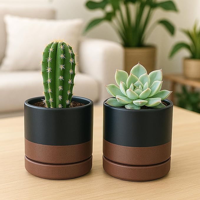 D'vine Dev Set of 2 Plants Pots, 4.7 Inch Ceramic Planter Pot for Plants with Drainage Hole and Saucer, Black/Speckled Tan, 94-V-B-7 - Bloomnest