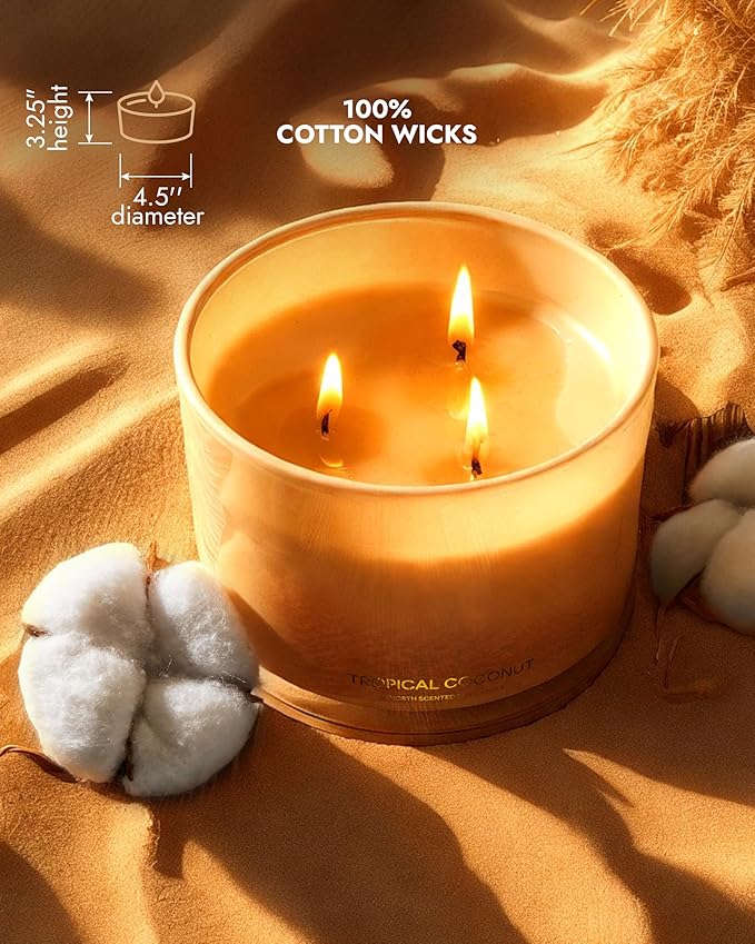 96NORTH Luxury Coconut Soy Candle | Large 3 Wick Jar Candle | Up to 50 Hours Burning Time | Tropical Beach Scented Candles for Home | 100% Natural Soy Wax | Housewarming Gift for Women and Men - Bloomnest