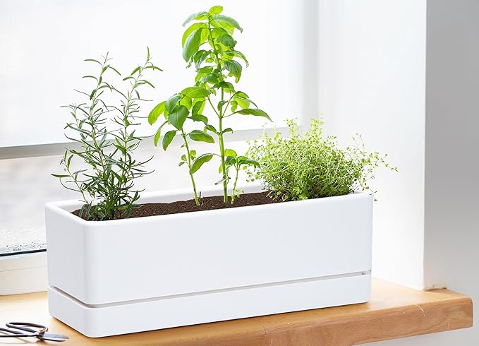D'vine Dev 12 Inch Window Box Planter, Rectangle Plastic Herb Planter with Drainage Holes and Saucer, Indoor Succulent Cactus Vegetable Pot for Windowsill, Garden Balcony, White, Set of 2, 76-X-A-2 - Bloomnest