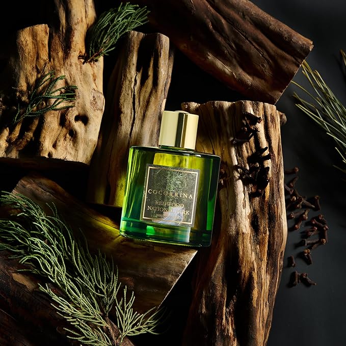 COCORRÍNA Reed Diffuser - Redwood National Park 6.7 Fl.oz Reed Diffuser Set with 8 Sticks & Preserved Baby's Breath, Reed Diffuser for Home Bathroom Shelf Decor - Bloomnest
