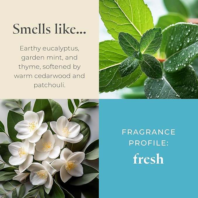 PartyLite Farm Fresh Herbs Scented, Notes of Eucalyptus, Thyme, Garden Mint, Cedarwood & Patchouli, 13.2oz 3-Wick Jar Candle, 45 Hour Burn Time, Luxurious Fragrance, Ideal for Gifting - Bloomnest