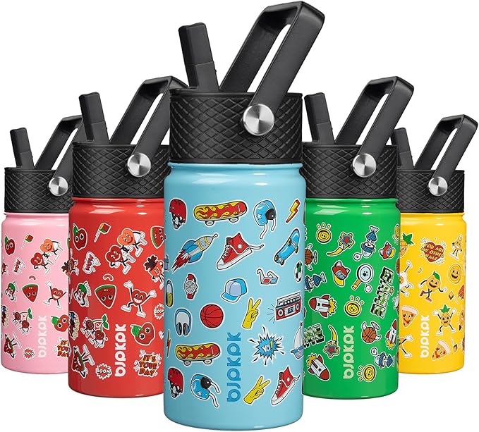 BJPKPK Insulated Water Bottle with Straw Lid, 15 oz Stainless Steel Metal Water Bottles, Reusable Leak Proof BPA Free Water Bottles, Cups, Thermo, Playground - Bloomnest
