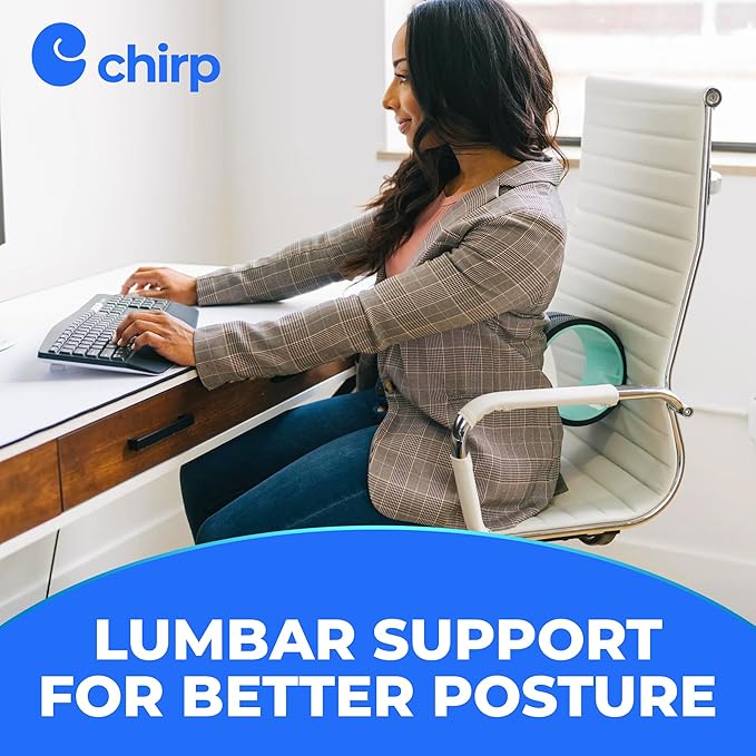 Chirp Wheel Foam Roller – Targeted Back & Neck Relief, Lumbar Spine Stretcher, Spinal Decompression Back Stretcher, Massage Roller with Density Foam for Physical Therapy, Supports 500lbs, 6-Inch Mint