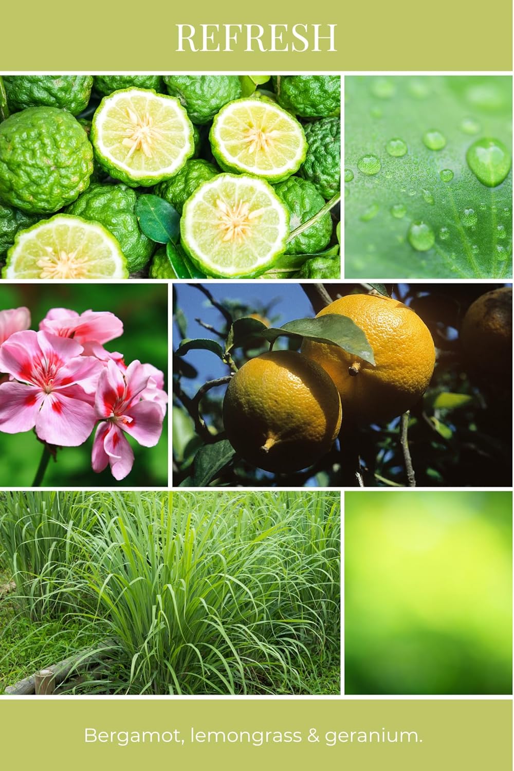 ECO CANDLE CO. Essentials Candle, Refresh, 8 oz. - 100% Soy Wax, No Lead, Hand Poured, Phthalate Free, Made from Midwest Grown Soybeans, All Natural Wicks