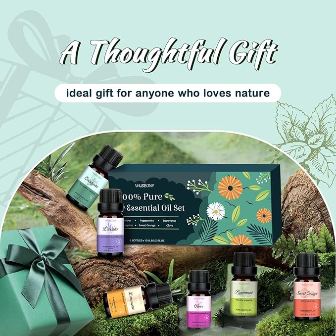 Top 6 Natural Aromatherapy Oils Gift Set, Essential Oils for Diffusers Home, Fragrance Oil Scent for Candle Soap Making - Lavender, Peppermint, Eucalyptus, Lemongrass, Sweet Orange, Clove - Bloomnest