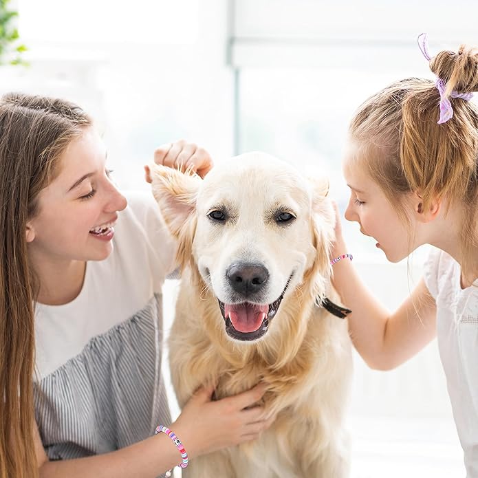 TONY & SANDY Dog Memorial Gifts, Pet Sympathy Rainbow Bridge Pet Memorial Bracelet for Men Women Girls Who Loss of Beloved Dog Cat - Bloomnest