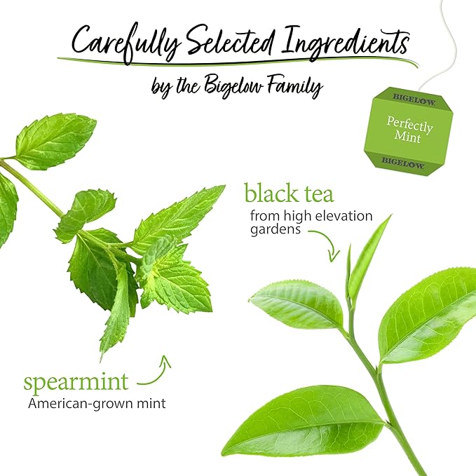 Bigelow Tea Perfectly Mint Black Tea, Caffeinated with Spearmint, 20 Count Box (Pack of 6), 120 Total Tea Bags - Bloomnest