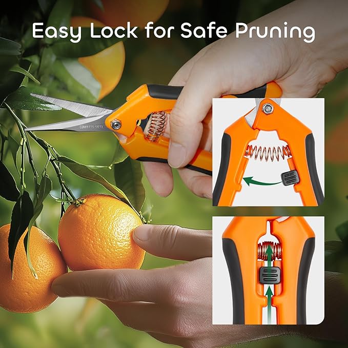 GROWNEER 6 Packs Pruning Shears Gardening Hand Pruning Snips with Straight Stainless Steel Precision Blades - Bloomnest