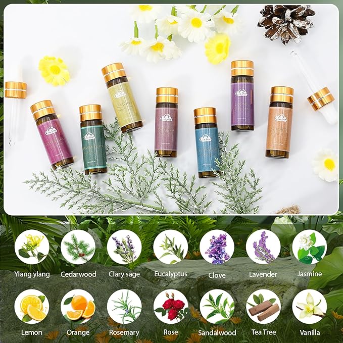 Fragrance Essential Oils Set - 14pcs, Aromatherapy Oils for Skin, Diffusers, Home Care, Humidifier Laundry, Candle Making - Tea Tree, Sandalwood, Lavender, Vanilla, Eucalyptus and More (5mL) - Bloomnest