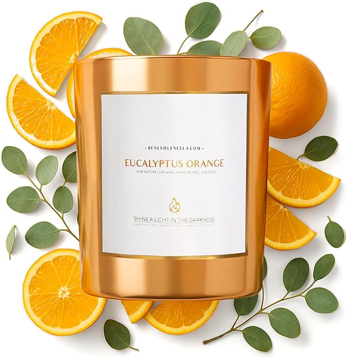Benevolence LA Eucalyptus Orange Wood Wick Candles | Soy Christmas Scented Candles for Home | Holiday Candle Gifts for Women and Men | Home Fragrance | Aromatherapy | Shelf Decor | 8oz, 45 Hour Burn - Bloomnest