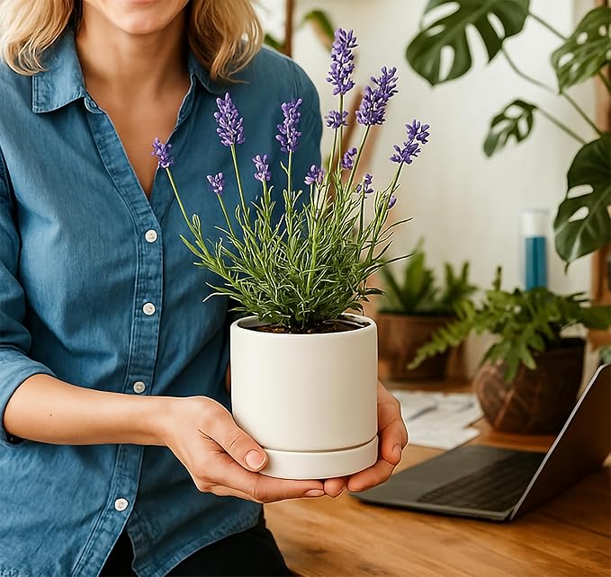 D'vine Dev Set of 2 Plants Pot, 4.7 Inch Ceramic Planter Pot for Plants with Drainage Hole and Saucer, White, 94-V-B-1 - Bloomnest