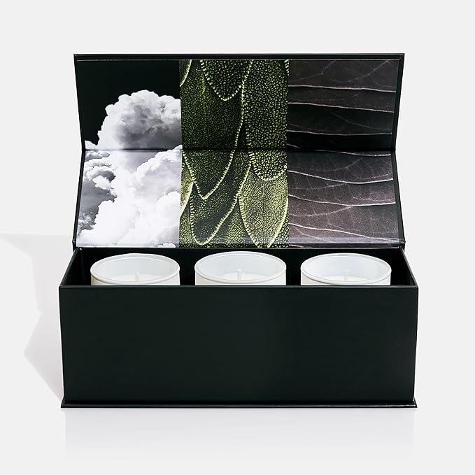 Lake & Skye Mini Votive 3 Piece Candle Set - Includes 11 11, Wild Grass & Sage, and Santal Gray - 1.85 oz Each - Bloomnest