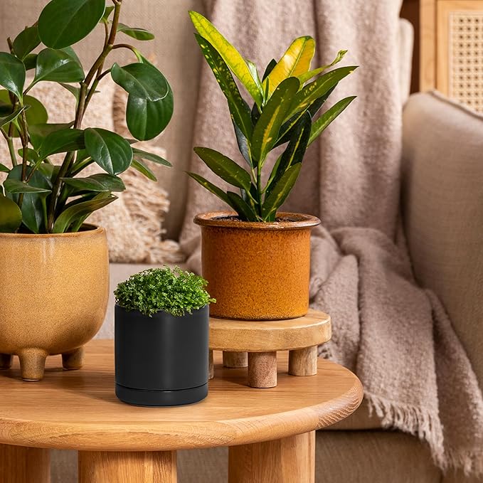 D'vine Dev Set of 2 Plants Pots, 3.5 Inch Ceramic Planter Pot for Plants with Drainage Hole and Saucer, Black, 94-V-A-2 - Bloomnest