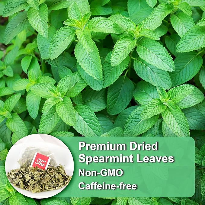FullChea - Spearmint Tea Bags, 40 Teabags, 1.5g/bag - Premium Spearmint Leaves - Non-GMO - Caffeine-free - High in Antioxidant & Support Digestion - Bloomnest