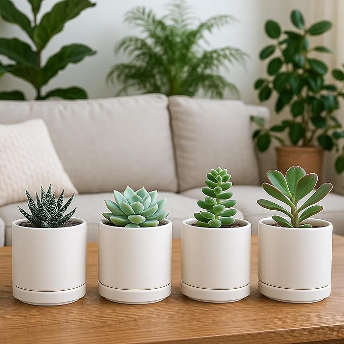 D'vine Dev Set of 4 Small Ceramic Plant Pots, 3.5 Inch Succulent Planter Pot for Plants with Drainage Hole and Saucer, Oatmeal, 94-X-A-8 - Bloomnest