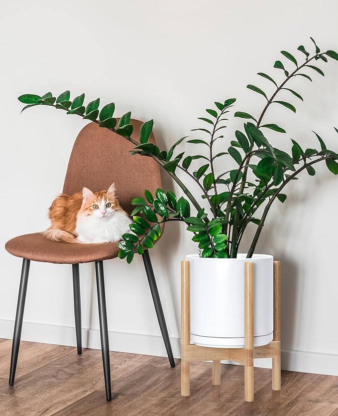 D'vine Dev Ceramic Planter with Natural Stand - 10 Inch Modern Round Flower Pot with Wood Planter Holder, White, 55-B-K-1 - Bloomnest