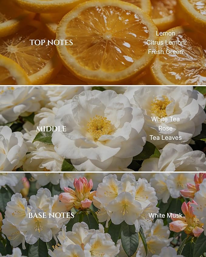 Aromadd White Tea Diffuser Oil Inspired by Luxury Hotel Scent, Essential Oils for Waterless Diffuser, White Tea & Bergamot, Long-Lasting & Natural Home Fragrance - 3.38 fl oz (100 mL) - Bloomnest