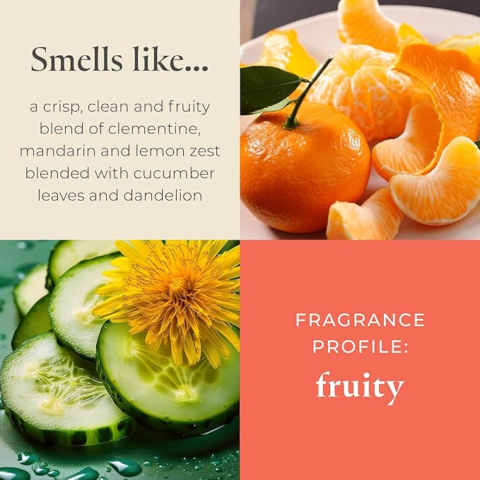 PartyLite Set of 12 Tea Lights Candles, Cucumber & Clementine Scent, Aromatherapy Scented Candles Gift Set, Up to 4 to 6 Hours Burn Time - Bloomnest