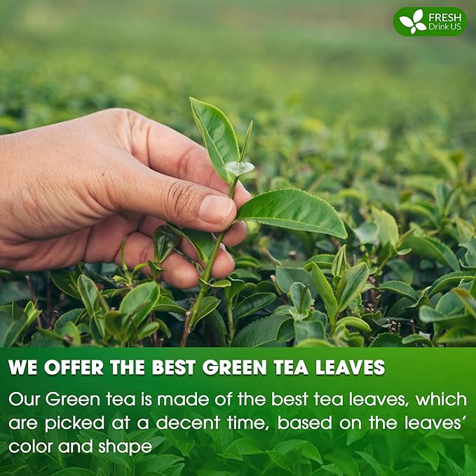 FreshDrinkUS, Premium 175 Green Tea Bags, 100% Natural & Pure from Green Tea. Green Herbal Tea. Made with Natural Material Tea Bags. No Sugar, No Gluten, Vegan - Bloomnest