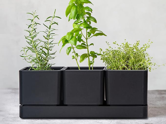 D'vine Dev Herb Garden Planter Set, Plastic Plant Pots with Drainage and Saucer, Indoor Succulent Cactus Vegetable Pot for Windowsill, Garden Balcony, Black, Set of 1, 76-V-B-1 - Bloomnest