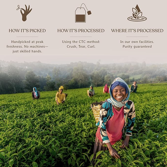 Akina Single-Origin Regular Black Tea Bags | 100% Naturally Flavored, Kenyan Origin, Gourmet Tea, Hot Beverage (100 String & Tag Bags, 200g) - Bloomnest
