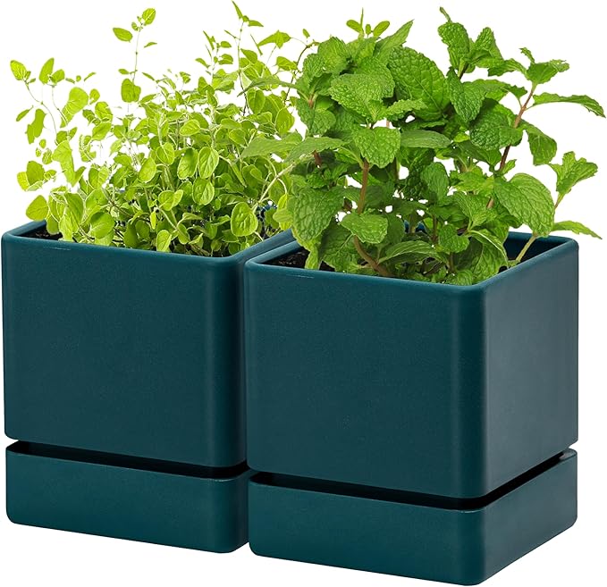 4 Inch Herb Planter Pot, Plastic Planter with Drainage Holes and Saucer, Modern Decorative Gardening Pot for Indoor Plants, Flowers, Herbs, Succulents, Green, Set of 2, 76-Y-C-2 - Bloomnest