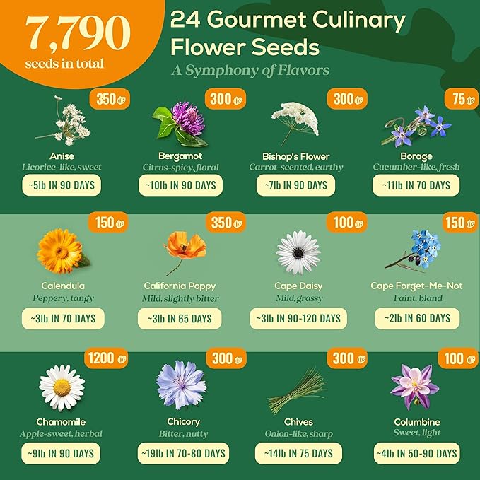 24 Gourmet Culinary Flower Seeds Variety Pack - 7,790+ Non-GMO Heirloom Flower Seeds for Planting Indoor & Outdoor Home Garden - Culinary Flowers Seed Packets for Planting Edible Flowers - Bloomnest