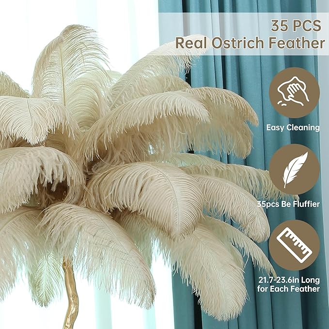 MAYOLA Luxury Resin Ostrich Feather Lamp, 35 Pieces Real Ostrich Feathers,Floor Lamp for Living Room, Bedroom and Office 67” Tall Feather Lamp(Ostrich Color, Floor Lamp) - Bloomnest