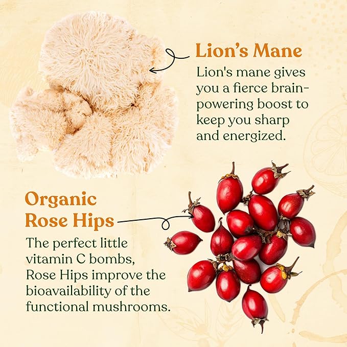 Four Sigmatic Focus Organic Green Tea | Focus Enhancing Tea with Lion's Mane Mushroom Extract | Organic Green Tea, Mint, and Rose Hips | Vegan, Gluten-Free | Unsweetened with Lemon, 24 Servings - Bloomnest