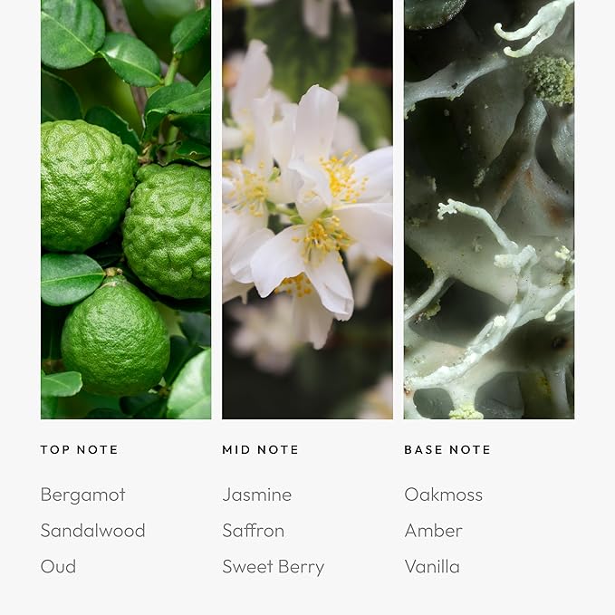 Aroma360 - Chandelier Fragrance Oil Blend | Hotel Inspired for Luxury Essential Oil Diffusers | Aromatherapy Scent Diffuser Oil | Bergamot, Woodsy Sandalwood, and Flirtatious Saffron - 50ML - Bloomnest