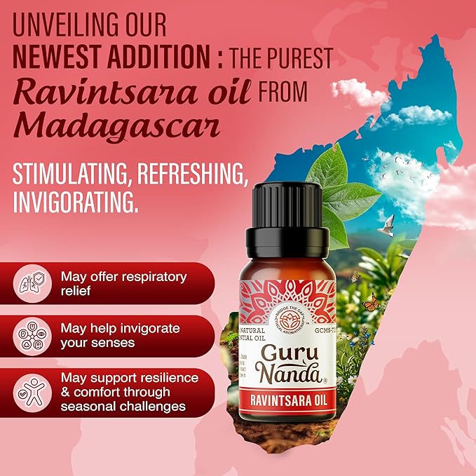 GuruNanda Breathe Essential Oil Set (Pack of 3 x 0.34 Fl Oz) - 100% Pure, Natural & Undiluted Diffuser Oils for Aromatherapy - Helps Support Clear Breathing - Suitable for Massages & DIY Recipes - Bloomnest