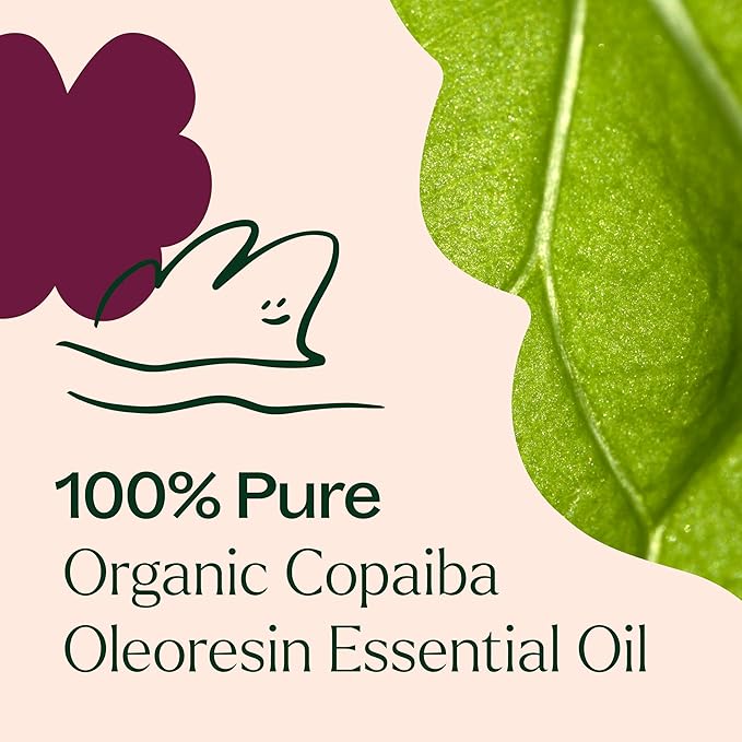 Plant Therapy Copaiba Oleoresin Organic Essential Oil 100% Pure, Undiluted, Natural Aromatherapy for Diffuser & Skin, Therapeutic Grade 10 mL (1/3 oz) Organic Copaiba Oil for Calming, Massage, Candles - Bloomnest