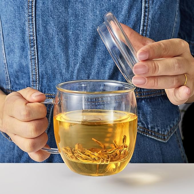 Lezero Glass Tea Cups with Infuser and Lid Kit, Heat Resistance Teacup with Filter for Brewing Blooming & Loose Leaf-Tea, Lead-free, Microwave & Dishwasher Safe, 17oz - Bloomnest