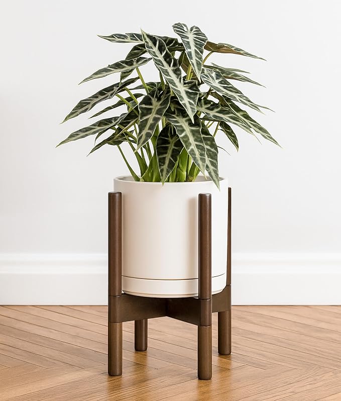 D'vine Dev Ceramic Planter with Walnut Color Stand - 8 Inch Modern Round Flower Pot with Wood Planter Holder, Oatmeal, 55-B-Y-8 - Bloomnest