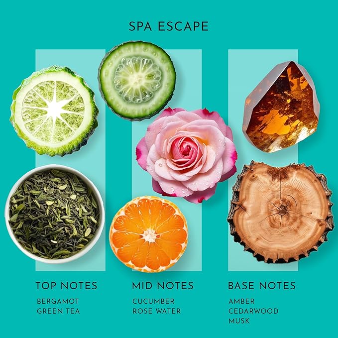 Scent Better Spa Escape Aroma Essential Oil Blend: an Aromatherapy Blend of Green Tea, Mandarin, and Cucumber for Ultrasonic Diffusers & Nebulizers (3.3 Fl Oz, 100 mL) - Bloomnest