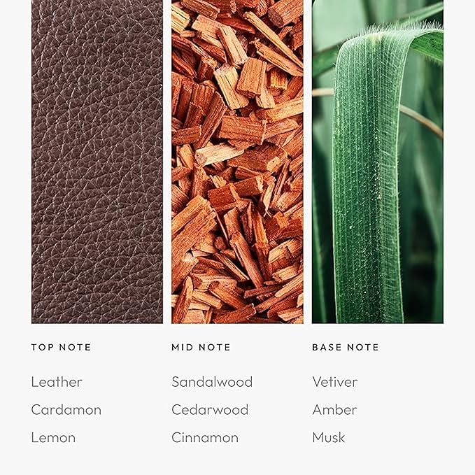 Aroma360 - My Way Fragrance Oil Blend - Hotel Inspired for Luxury Essential Oil Diffusers - Aromatherapy Scent Diffuser - Lush Sandalwood, Warm Cedar, and Delicate Florals - 50ML - Bloomnest