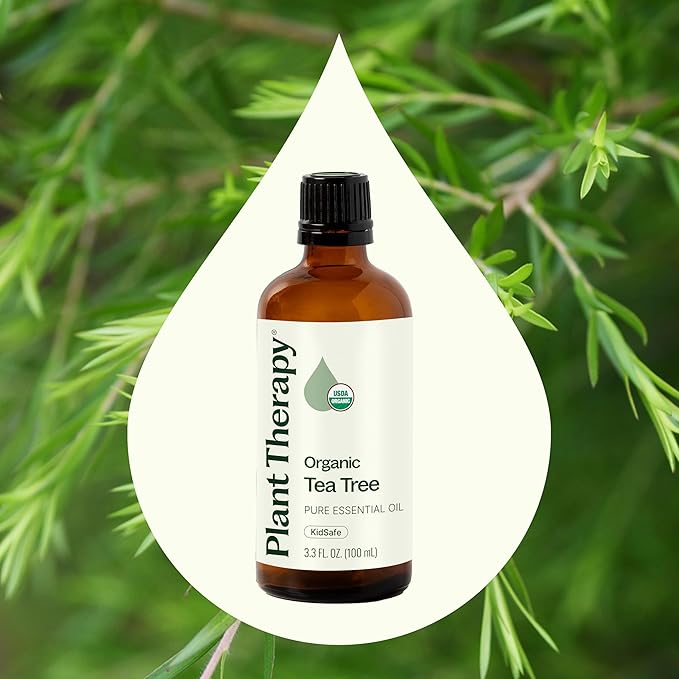 Plant Therapy Organic Tea Tree Oil (Melaleuca) 100% Pure, USDA Certified Organic, Undiluted, Natural Aromatherapy, Therapeutic Grade 100 mL (3.3 oz) - Bloomnest