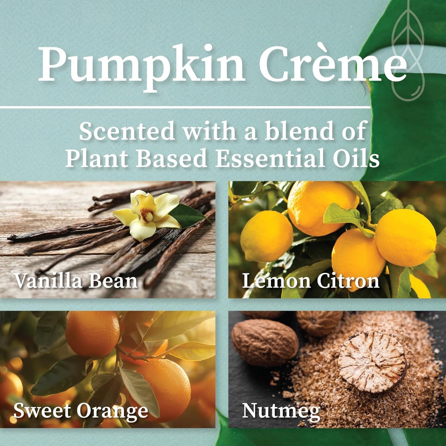 Hemlock Park Crackling Wood Wick Candle Handcrafted with Natural Coconut Wax (Standard 8 oz, Pumpkin Crème)