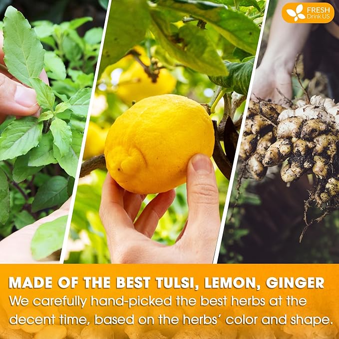 FreshDrinkUS, Premium 35 Tulsi Lemon Ginger Tea Bags, 100% Natural & Pure from Tulsi Holy Basil Leaves, Lemon and Ginger. Made with Natural Material Tea Bags. No Sugar, No Caffeine, Vegan. - Bloomnest