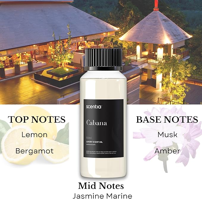 Scentia Hotel Diffuser Oil Inspired by 5-Star Hotel Scent - 120 mL 4.06 fl oz - Essential Oil Blend Botanical Jasmine, Bergamot & Fresh Marine Notes for Aromatherapy Diffusers - Cabana - Bloomnest