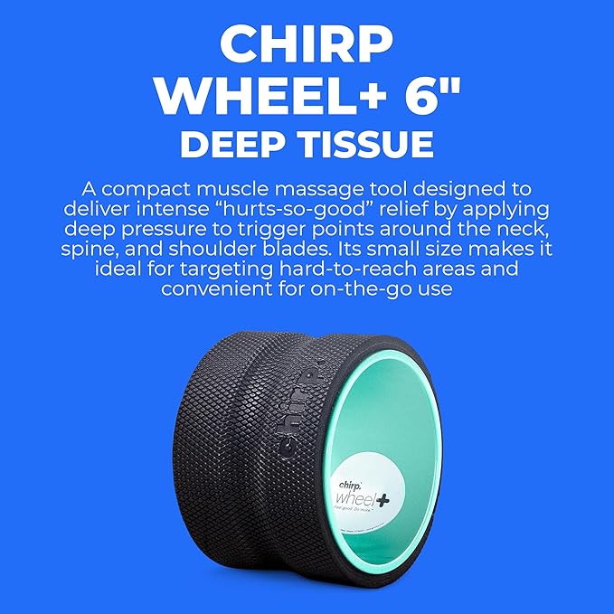 Chirp Wheel Foam Roller – Targeted Back & Neck Relief, Lumbar Spine Stretcher, Spinal Decompression Back Stretcher, Massage Roller with Density Foam for Physical Therapy, Supports 500lbs, 6-Inch Mint