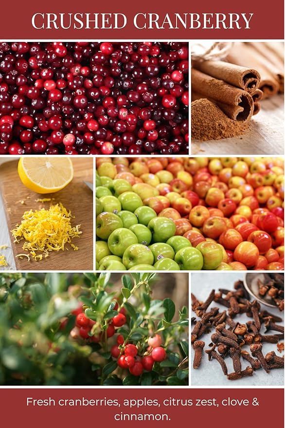 ECO CANDLE CO. Tea Light Candles, Crushed Cranberry, 10-Pack - Scents of Fresh Cranberries, Apples, Citrus, Clove & Cinnamon - Recyclable, 100% Soy Wax, No Lead, Kraft Paper Label & Lid, Hand Poured - Bloomnest