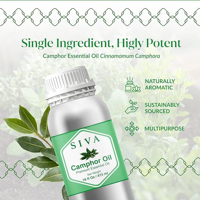Siva Camphor Essential Oil - 16 Fl Oz – 100% Natural Camphor Oil - for Diffuser, Face, Skin Care, Aromatherapy, Hair Care, Scalp and Body Massage SIVAOrganics
