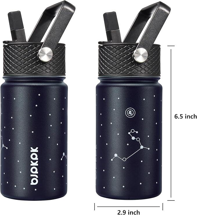 BJPKPK Water Bottle with Straw Lid, 15 oz Insulated Water Bottle, Stainless Steel Metal Water Bottles, Reusable Leak Proof BPA Free Thermo, Flask, Cups,Constellation-Leo - Bloomnest