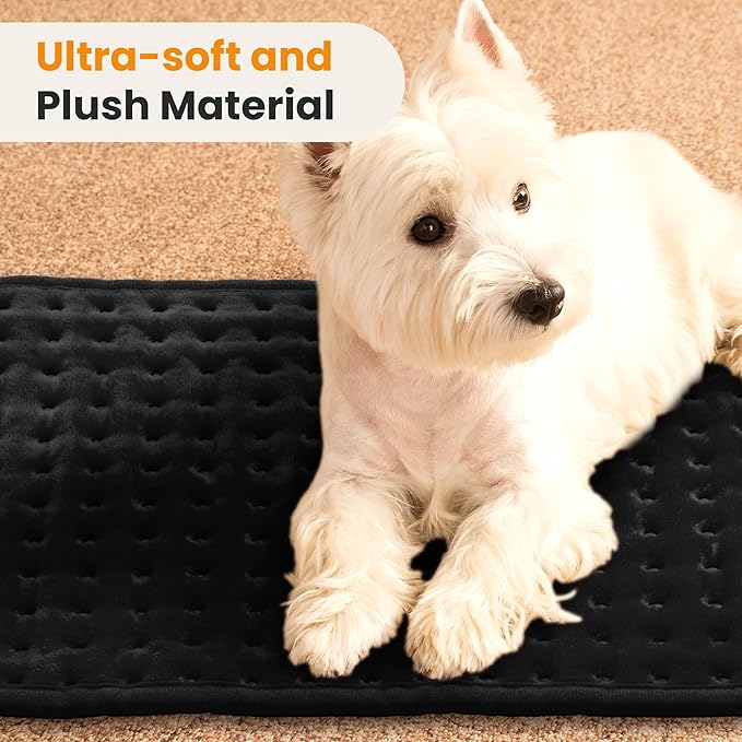 Electric Heating Pad for Back Pain Relief & Cramps - 6 Heat Settings,Auto Shut Off,Moist Heat Options,Portable Heated Pads for Neck/Shoulder Machine Washable Gift for Men Women,Black,20"x24" - Bloomnest