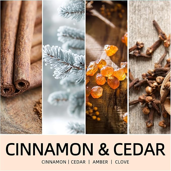 Fall Candles, Cinnamon & Cedar Scented Soy Candles, Autumn/Holiday/Halloween/Birthday/Christmas Gifts for Women & Men, 50-Hours Burning Time (7Oz) - Bloomnest